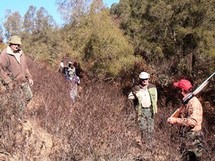 Chasse : Ouverture ce dimanche de la nouvelle saison Chasse : Ouverture ce dimanche de la nouvelle saison