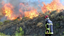 Les forêts marocaines menacées d’embrasement