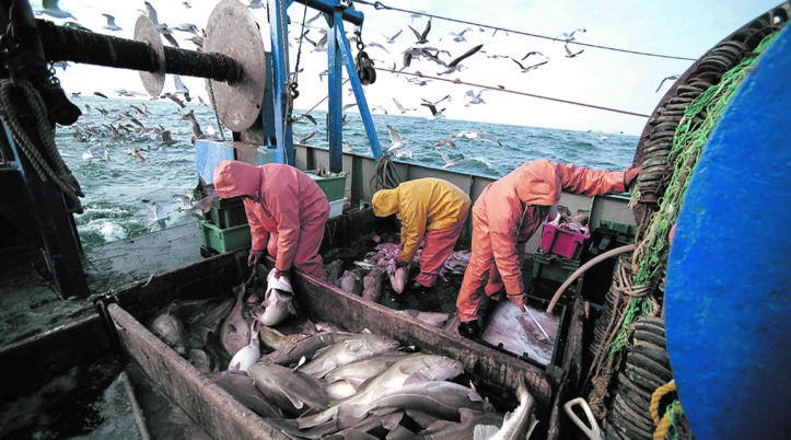 Finalisation imminente de l’accord de pêche Maroc-UE Finalisation imminente de l’accord de pêche Maroc-UE