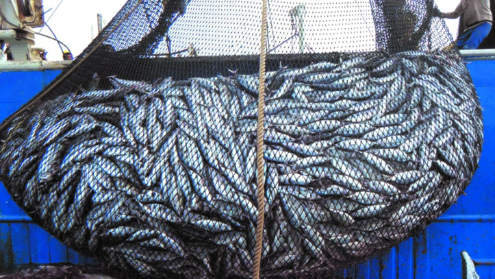 Le Maroc et l’UE s’entendent sur  le contenu du futur accord de pêche