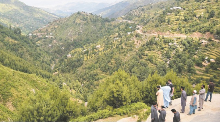 Des centaines de millions d'arbres plantés contre la déforestation au Pakistan Des centaines de millions d'arbres plantés contre la déforestation au Pakistan