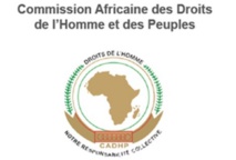 Droits de l'Homme : Les ONG nord-africaines doivent s'organiser en réseaux pour favoriser l'interaction avec la CADHP Droits de l'Homme : Les ONG nord-africaines doivent s'organiser en réseaux pour favoriser l'interaction avec la CADHP