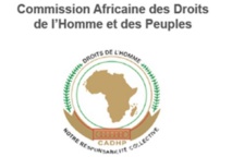Droits de l'Homme : Les ONG nord-africaines doivent s'organiser en réseaux pour favoriser l'interaction avec la CADHP