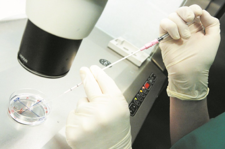 L’adoption d’une loi régissant la procréation médicalement assistée vivement attendue L’adoption d’une loi régissant la procréation médicalement assistée vivement attendue