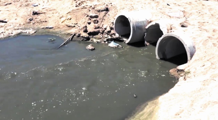 Ces lois qui ne sont jamais appliquées Ces lois qui ne sont jamais appliquées