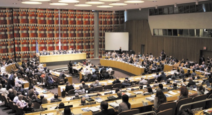 Le Conseil économique et social des Nations unies. Le Conseil économique et social des Nations unies.