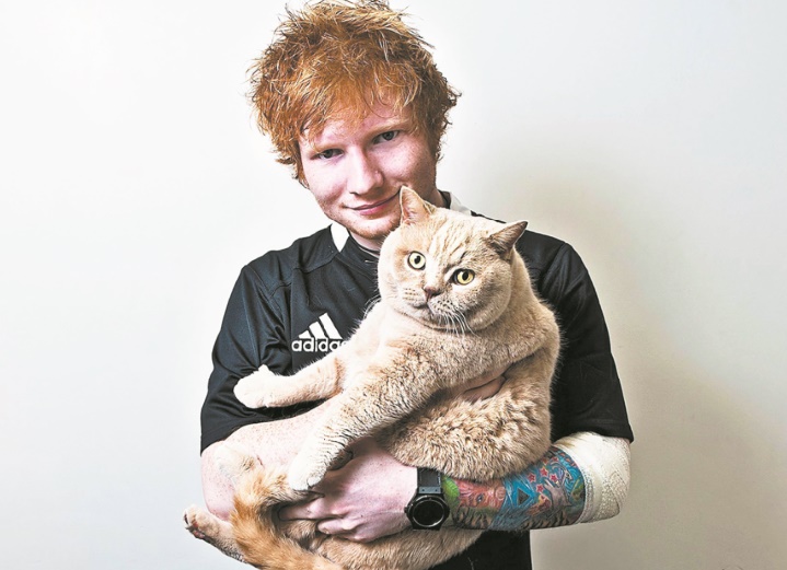 Ed Sheeran ouvre un compte Instagram pour ses chats