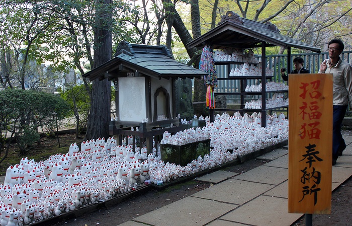 Insolite : Temple des chats Insolite : Temple des chats