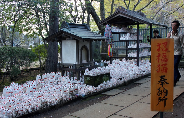 Insolite : Temple des chats