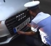 Insolite : Plaques d'immatriculation