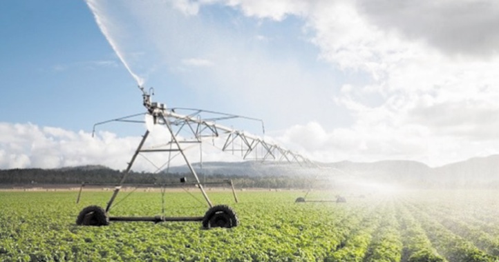 Pour une mise en valeur des terres sahariennes : Aménagement hydro-agricole à Boujdour