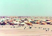Camps de Tindouf : Le Maroc appelle le HCR à recenser les populations sans tarder Camps de Tindouf : Le Maroc appelle le HCR à recenser les populations sans tarder