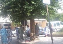 Femmes du Moukef à Fès : Les oubliées du développement socioéconomique Femmes du Moukef à Fès : Les oubliées du développement socioéconomique