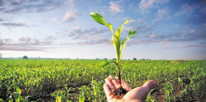 Les NTIC et l'entrepreneuriat à la rescousse de l’Afrique Les NTIC et l'entrepreneuriat à la rescousse de l’Afrique