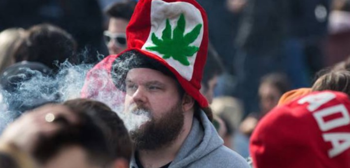 Les Canadiens ne fumeront pas plus de cannabis avec la légalisation Les Canadiens ne fumeront pas plus de cannabis avec la légalisation