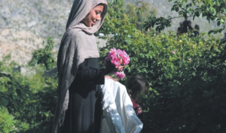 Guns & Roses : Un parfum de succès dans l'est de l'Afghanistan Guns & Roses : Un parfum de succès dans l'est de l'Afghanistan