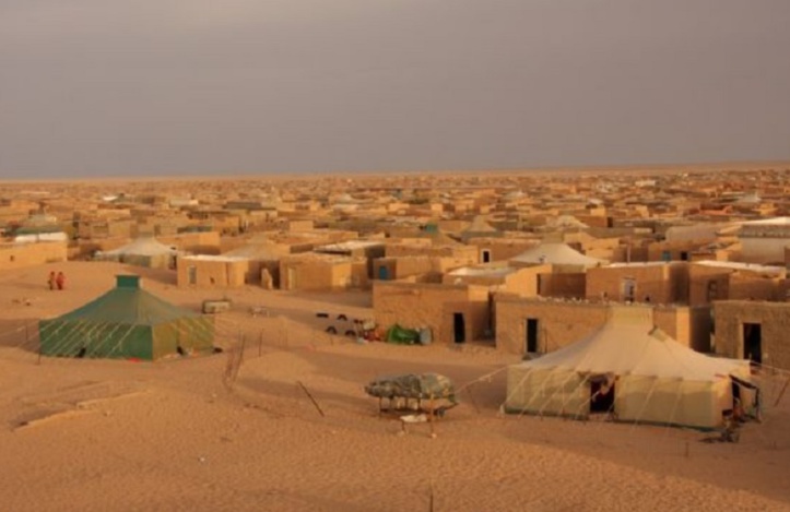 Sahara marocain : Quand un navet de «Democracy now» vire à la propagande ! Sahara marocain : Quand un navet de «Democracy now» vire à la propagande !