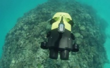 Un robot pour chasser les étoiles de mer tueuses