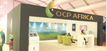 L’OCP fournira de l’engrais phosphatés au Ghana