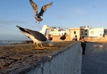 On lui a refusé l'accès au CHU de Marrakech : Une touriste française décède au CHP d'Essaouira On lui a refusé l'accès au CHU de Marrakech : Une touriste française décède au CHP d'Essaouira