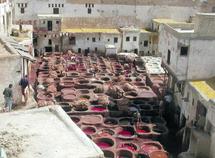 Région de Fès-Meknès-Ifrane : Lancement du nouveau plan d'action du CRT Région de Fès-Meknès-Ifrane : Lancement du nouveau plan d'action du CRT