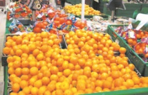 L’évolution du secteur de l’agroalimentaire au Maroc et en Afrique