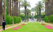 Casablanca lance le concours “Casa rues vertes” Casablanca lance le concours “Casa rues vertes”