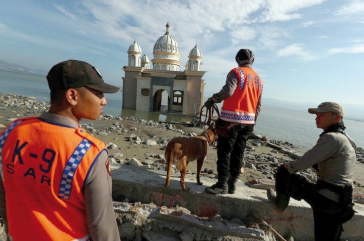 Plus de 1000 disparus après le séisme qui a frappé l’Indonésie Plus de 1000 disparus après le séisme qui a frappé l’Indonésie