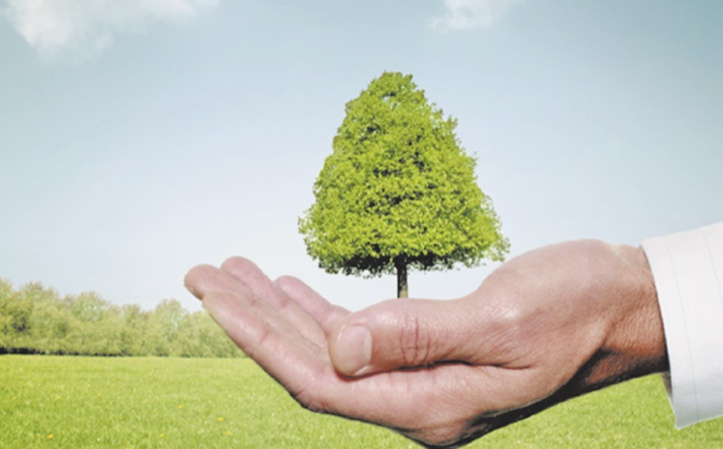 COP24 : Il n’y a plus une minute à perdre COP24 : Il n’y a plus une minute à perdre