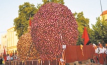 La valorisation, un levier du développement de la filière de l’oignon La valorisation, un levier du développement de la filière de l’oignon