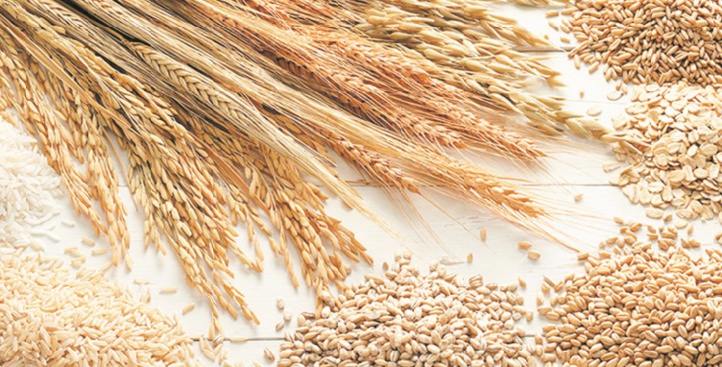 Signature à Casablanca d’une convention maroco-française de coopération céréalière Signature à Casablanca d’une convention maroco-française de coopération céréalière