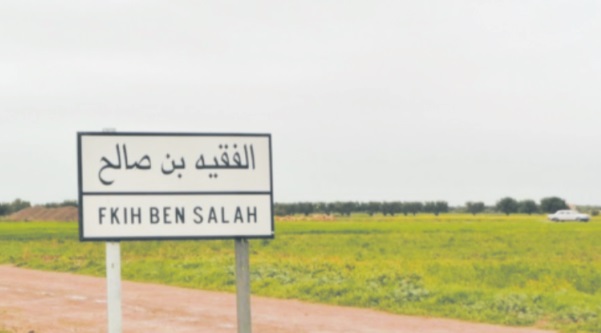 Des mesures anticipatives pour garantir le succès  de la nouvelle saison  agricole à Fquih  Ben Saleh Des mesures anticipatives pour garantir le succès  de la nouvelle saison  agricole à Fquih  Ben Saleh