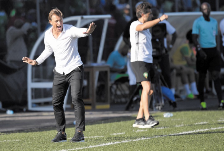 Hervé Renard : En Afrique, il faut être solides à défaut d’être géniaux Hervé Renard : En Afrique, il faut être solides à défaut d’être géniaux