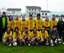 Equipe nationale féminine de football : La fédé boude toujours les professionnelles