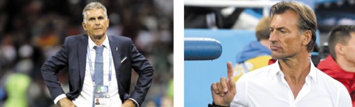 Queiroz succédera-t-il à Renard ? Queiroz succédera-t-il à Renard ?