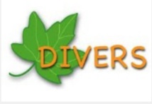 Divers