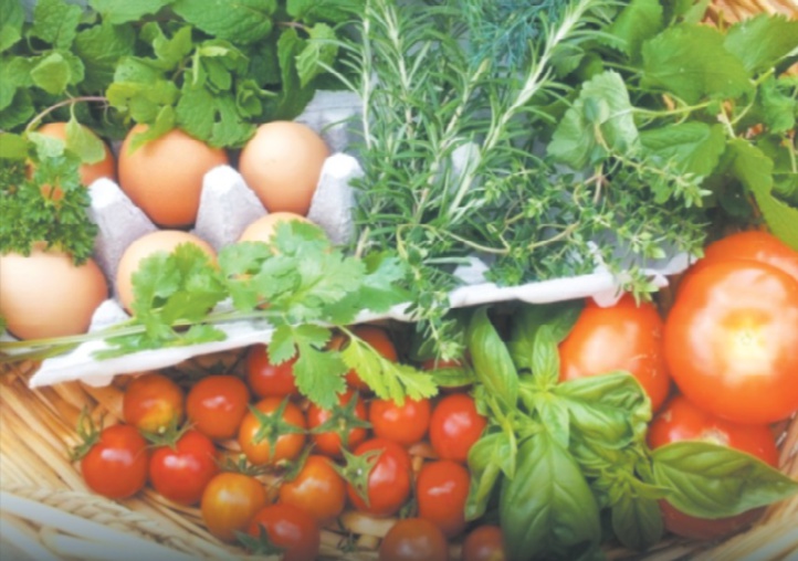 Enjeux, atouts et contraintes de la production biologique au Maroc Enjeux, atouts et contraintes de la production biologique au Maroc