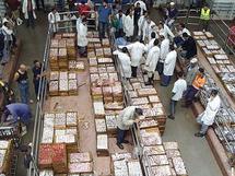 Pêche maritime : Clôture du stage de formation des cadres africains Pêche maritime : Clôture du stage de formation des cadres africains