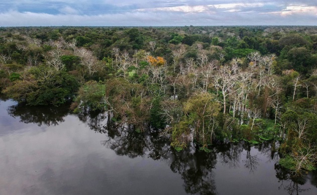 Les espaces sauvages se réduisent comme peau de chagrin