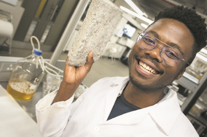 En Afrique du Sud, de l'urine peut faire des briques En Afrique du Sud, de l'urine peut faire des briques