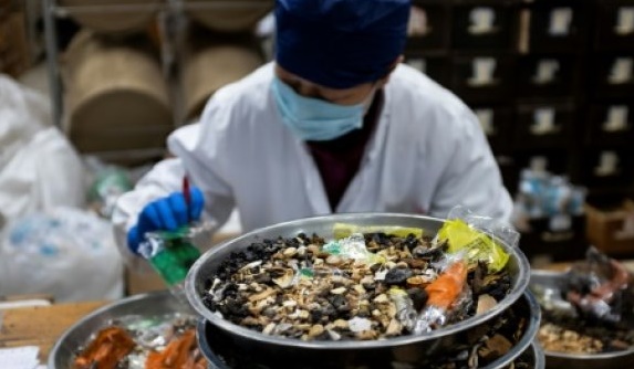 Entre plantes et scorpions, les Chinois attachés à leur médecine traditionnelle Entre plantes et scorpions, les Chinois attachés à leur médecine traditionnelle