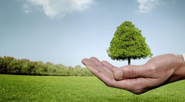 Dix entreprises en lice pour le meilleur projet vert de l'année Dix entreprises en lice pour le meilleur projet vert de l'année