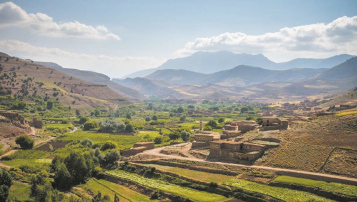 Extension des zones forestières en Méditerranée Extension des zones forestières en Méditerranée