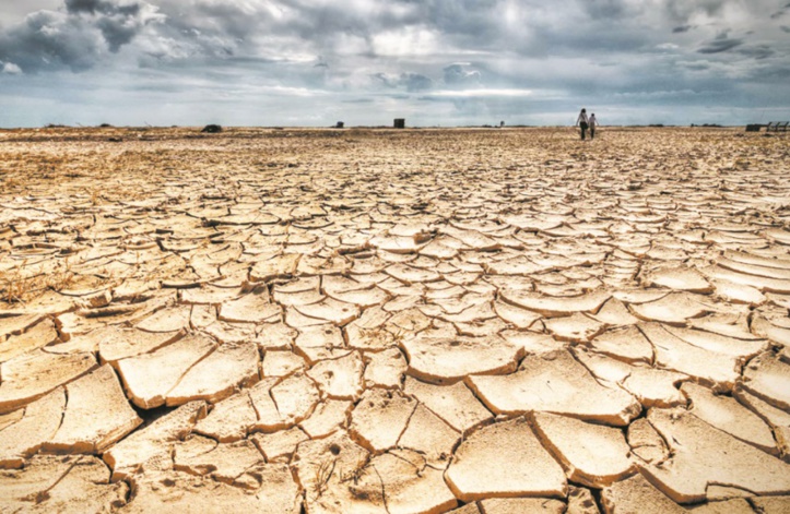 De nouveaux financements de la BM en faveur du climat