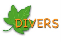 Divers Divers