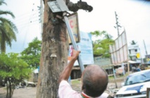 Au Bangladesh, le combat d'un homme pour sauver les arbres un par un