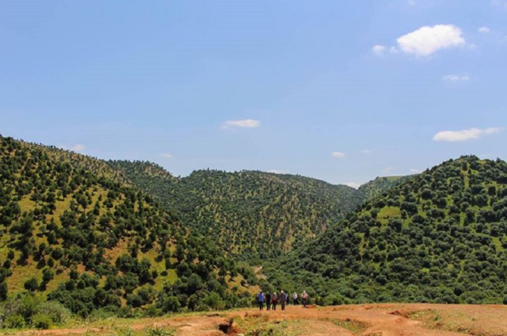 Had Brachoua renaît de ses cendres Had Brachoua renaît de ses cendres