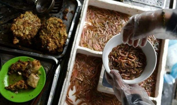 Insolite : Des galettes de vers frits Insolite : Des galettes de vers frits