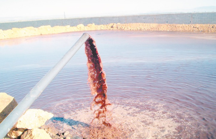 La faute à l’autre ! Le danger que représentent les margines stupidement ignoré La faute à l’autre ! Le danger que représentent les margines stupidement ignoré