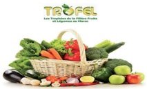 Les 10èmes Trophées de la filière fruits et légumes prévus le 10 janvier à Agadir